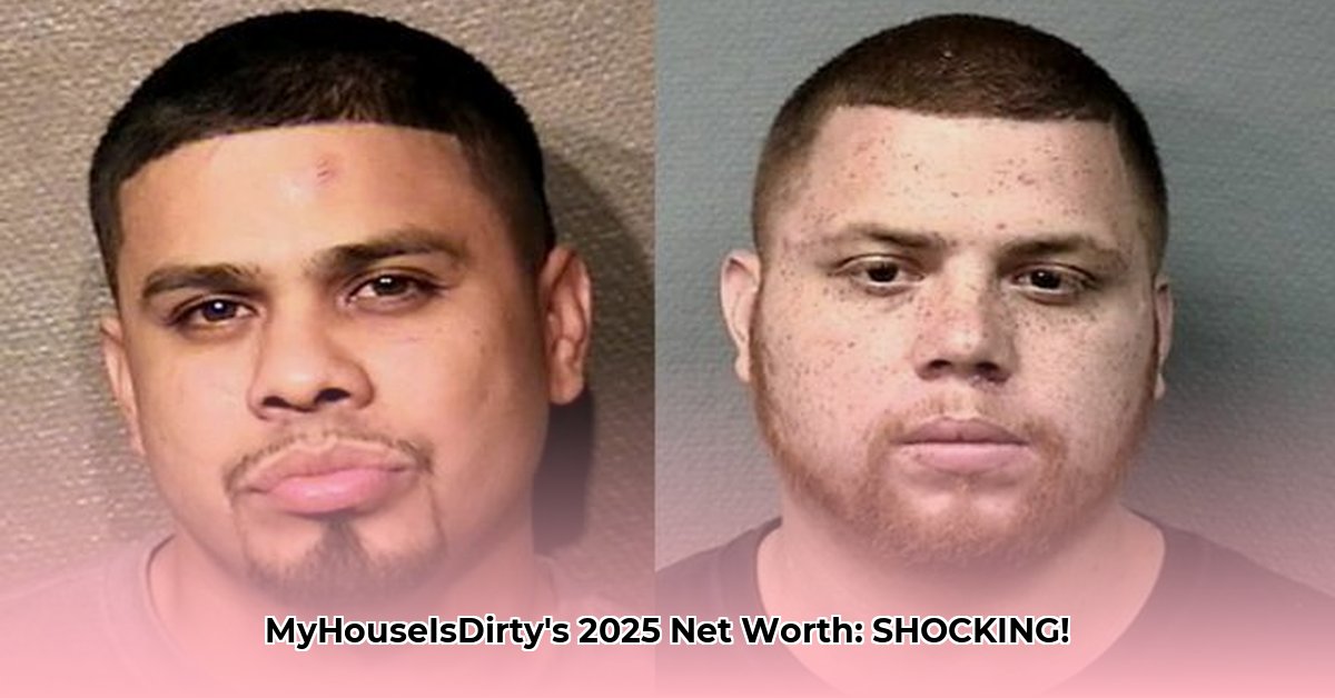 myhouseisdirty-net-worth
